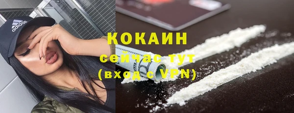 крисы Аркадак