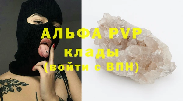 крисы Аркадак