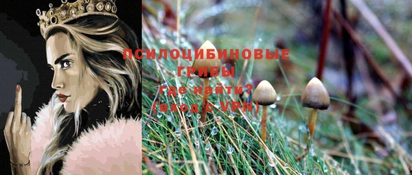 ешки Армянск