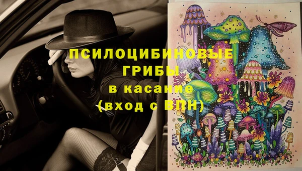 крисы Аркадак