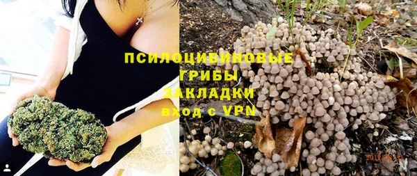 спиды Арсеньев