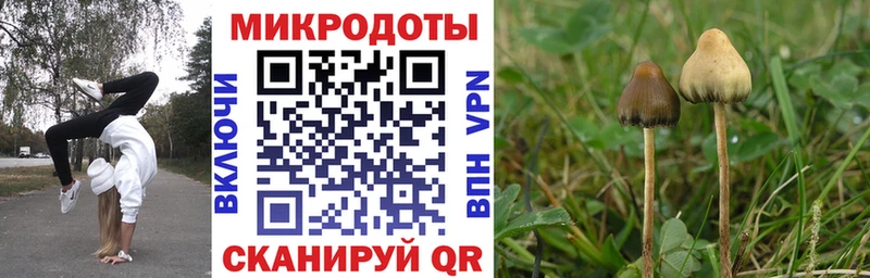 Псилоцибиновые грибы GOLDEN TEACHER  Берёзовский 